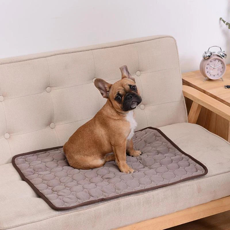 Pet Cooling Mat ✨