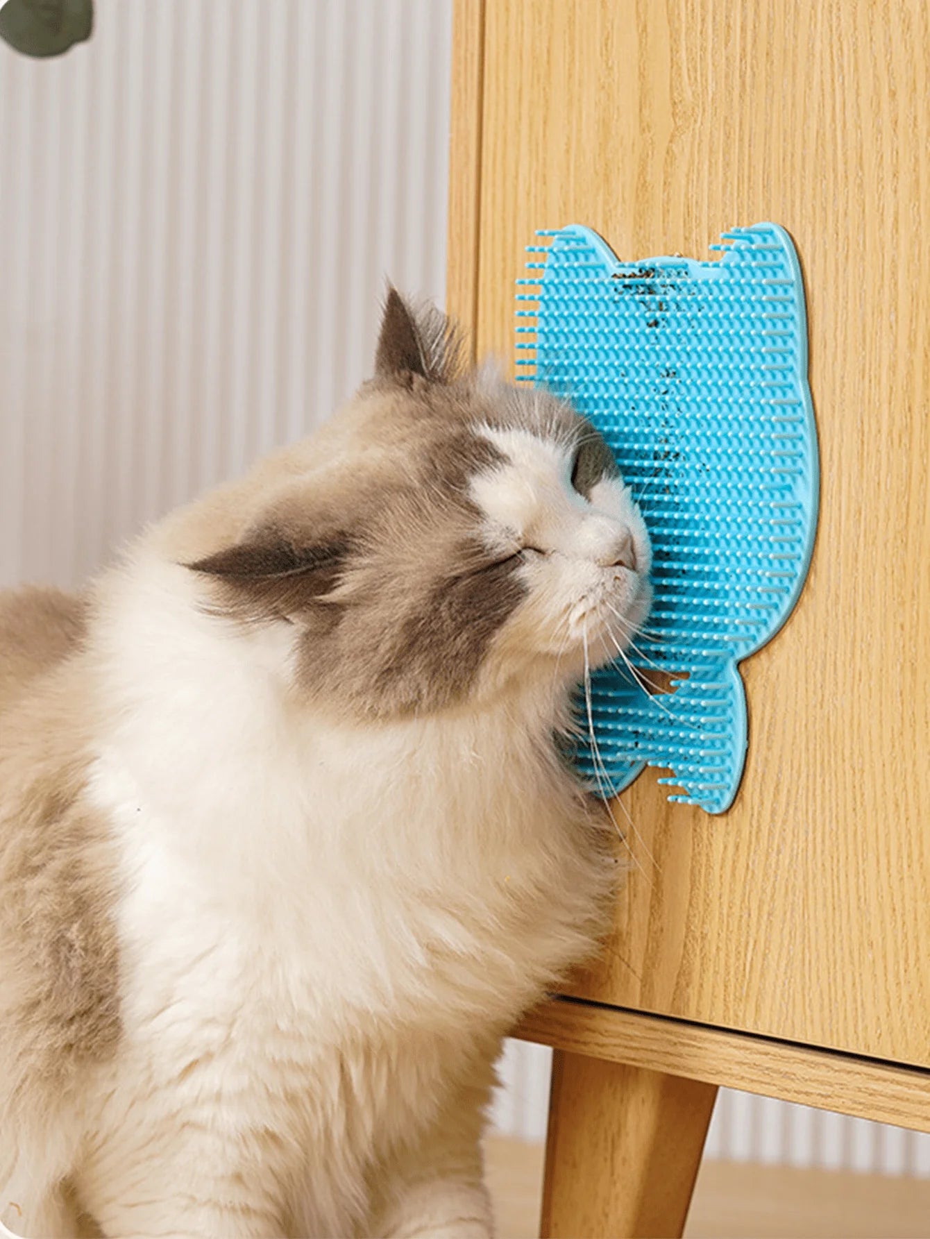 Beauty Corner Massage Comb Brush 🐱 ✨