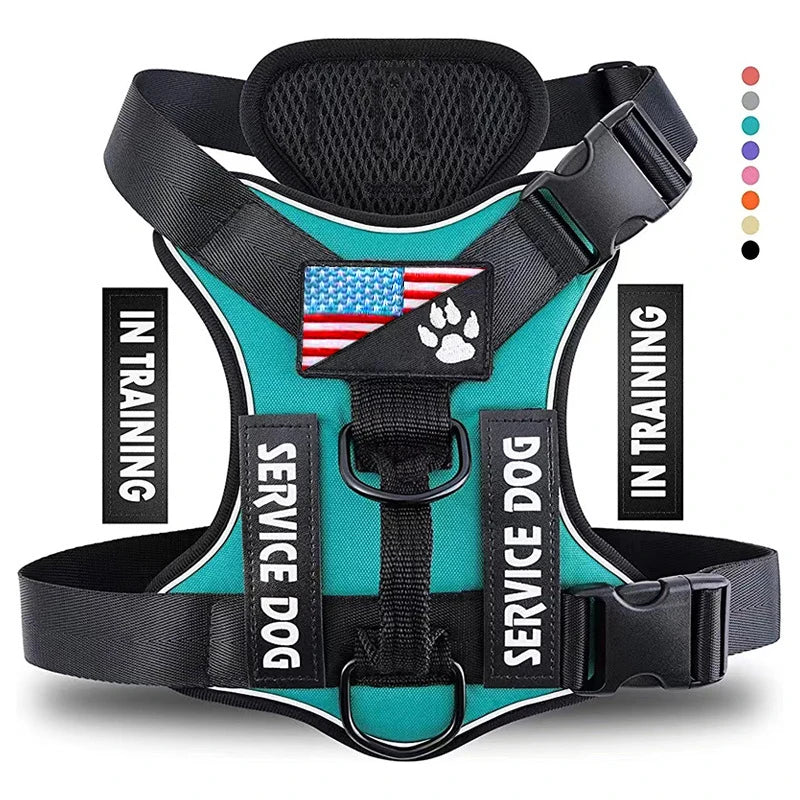 Service Dog Harness ✨