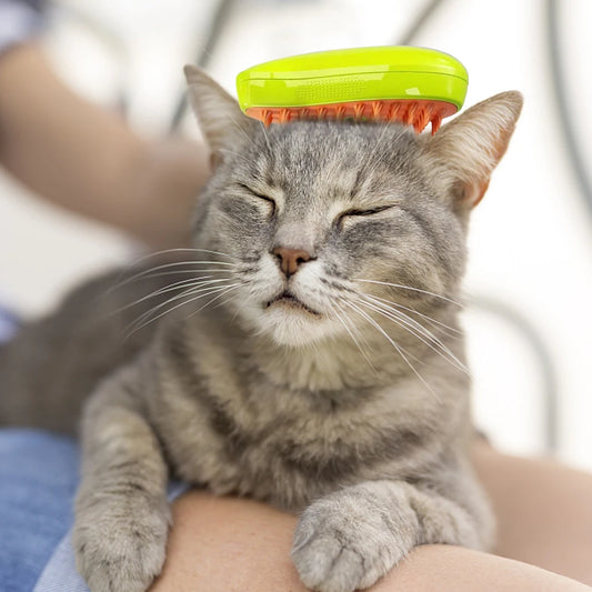 Massaging - Steaming Brush 😻