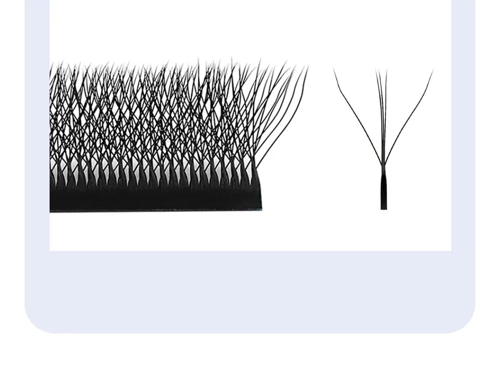 DIYDAY 3D W Shape Eyelash Extensions ✨