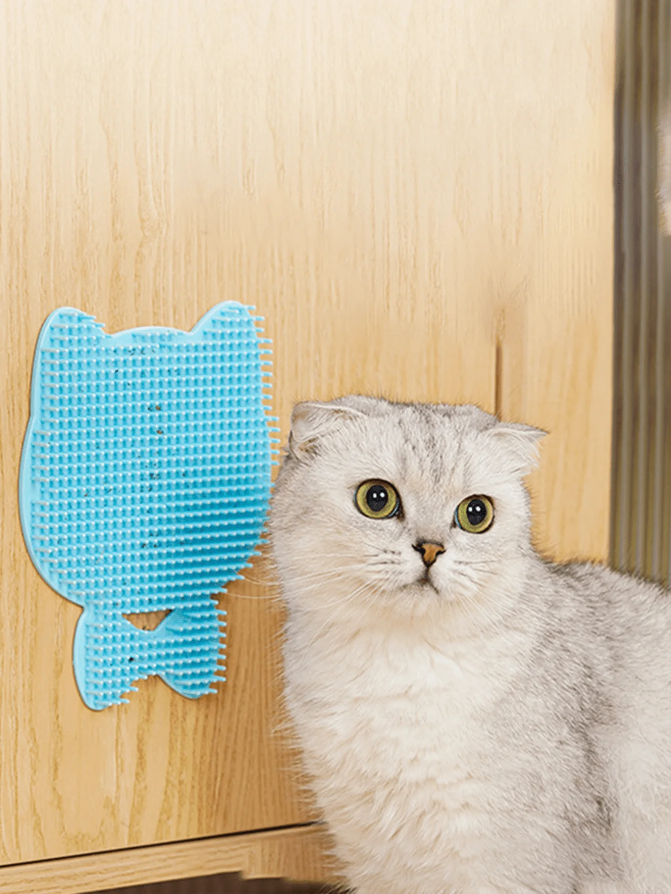 Beauty Corner Massage Comb Brush 🐱 ✨